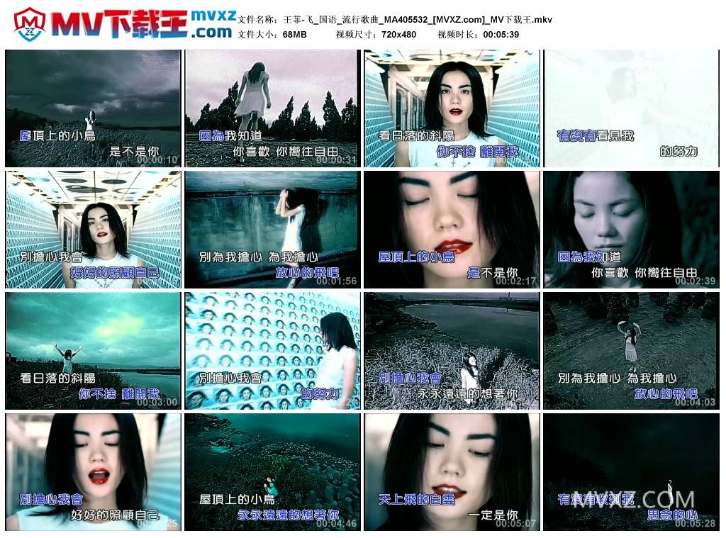 王菲-飞_国语_流行歌曲_MA405532